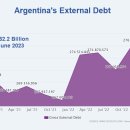 아르헨티나의 새 대통령은 미국 달러를 채택하고 싶어하는데, 어떻게 될까요? 이미지