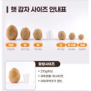 상운농장 이미지