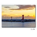 기장바다 이미지