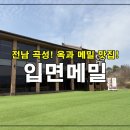 곡성-150 | [전남곡성맛집] 곡성 메밀 맛집 입면메밀(곡성본점)