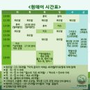 흥덕중앙로 | 흙놀이 영어 원데이 클래스 '프럼어스' 분리수업 후기