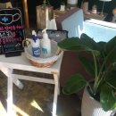 천사카롱 이미지