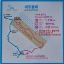 추자올레 18-1코스: 나바론절벽, 추자등대, 돈대산정상을 따라 걷는 또 다른 올레길을 경험하다.
