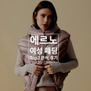 에르노 패딩 TOP3 분석 후기(착용사진, 종류)