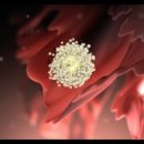 참행복한약국 이미지