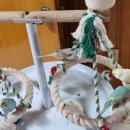 인천조류원 이미지