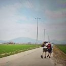 파스텔LC동물병원 | 동물병원 야간 근무 일지 │ 4주 차 후기와 일상