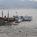 대추귀말자연학교 Daum카페