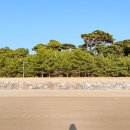 CU 대청도2호점 | 대청도 숙소 지펜션(숙박과 투어를 한 번에)