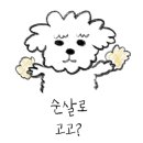 신묘한 곱도리식당 이미지