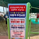 고령 물놀이 [ 예마을 물놀이장 ] 주말 방문후기