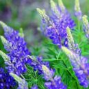 원주여자중학교 이미지