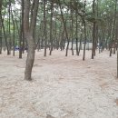 춘장대오토캠핑장 이미지