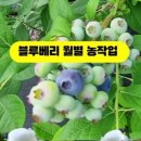 성수문량길 이미지
