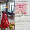 7227 | 부산 호텔 스파 커플 마사지 기념일 이벤트 아난티 코브 더스파하스타 솔직 후기