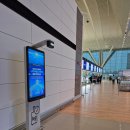 국제선여객터미널 | 인천공항 제2여객터미널 출국장 대한한공 탑승수속