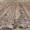 신리농장 이미지