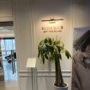 숨헤어 | 야당 숨헤어 포레스트점 복구 클리닉 후기