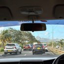 위드카 | 모리셔스 신혼여행 필수코스 카젤라파크 워킹위드라이언+에코라이더 후기