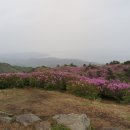 한치재주차장 Daum카페
