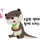 광치 무장애나눔길조성 네이버블로그