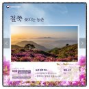 대기철쭉꽃마을 이미지