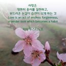 부부 사랑의 열쇠/ 결혼 명언 이미지