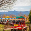 섬진강순환1 이미지