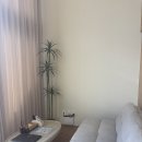 인피니티오션풀빌라 | 울산 오션블리스 바다뷰 인피니티풀 풀빌라 내돈내산 아쉬운 후기