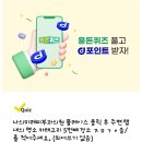 세라믹치과의원 이미지