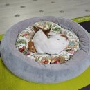 이쁘개 귀엽개 이미지