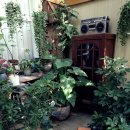 유튜버, 비제이 등 크리에이터 사업자를 위한 절세 가이드 | 초보 유튜버를 위한 사업자등록 가이드 과세 vs 면세