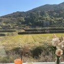 사등농협주유소 이미지