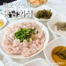동남세꼬시 | 묵호 백년기행 맛집 물회 회덮밥 세꼬시 매운탕 동남회집 메뉴 후기 주차