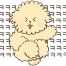 황금코다리 일산애니골점 이미지