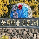 신흥동백나무군락 이미지