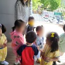 도동문화마을협동조합 | 천년기념물 1호[도동 측백나무숲] 아기랑 갈만한 곳 숲 놀이터 자연놀이터 대구 동구 어린이집 행사로...