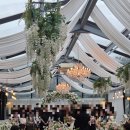 몽펠리에 | 전주 근교 야외결혼식 소양 몽펠리에 상담후기 26년 하반기 견적공유 (계약x)