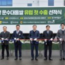 운수대통 이미지