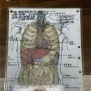 자연 + 인간 + | 부산 사주 추천｜개운사｜대연동 사주｜기문둔갑 사주 상담 후기