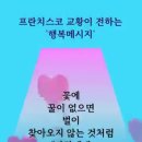 프란치스코 교황의 행복 메시지 이미지