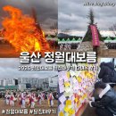 정월 | 울산 2026 정월대보름 행사 태화강 달집태우기 후기