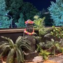 제주옥탑 이미지