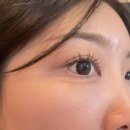 러빈래쉬 | [러빈래쉬] 이수/사당/방배 속눈썹 유목민 여기 다 모여라..