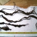 월영동255 이미지