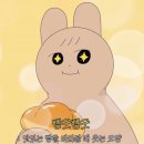 황토시루 | 성심당 화이트 딸기시루 오픈런 후기 그래, 그렇게 널 만나러 대전으로 향했어 그리고 이젠 확실한 이유...