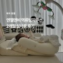 엔젤 | 엔젤앤비 역방쿠 2개월 실사용 후기, 장단점