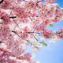 삼성물산구미직영아울렛 이미지