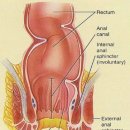 Re: 괄목상대(刮目相待) *[괄약근]* 이미지