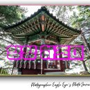 바다와하얀등대 | 양양 하조대 전망대, 출렁다리와 하얀 등대·애국가 소나무 즐기는 강원도 동해바다 가볼 만한 곳 여행후기